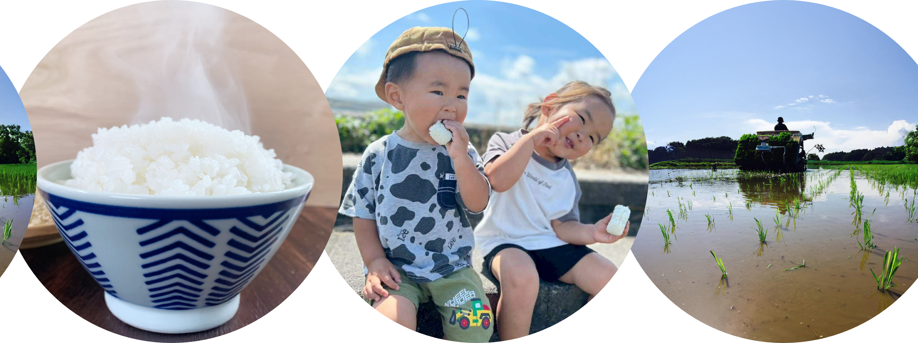 こだわりのお米