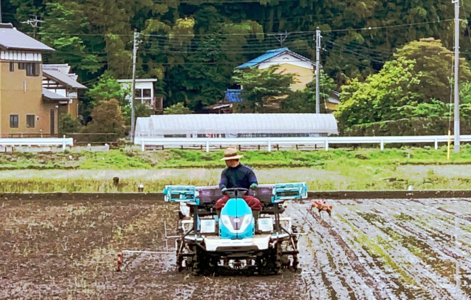 新たな想いを胸に。「龍宮ファーマーズ」始動